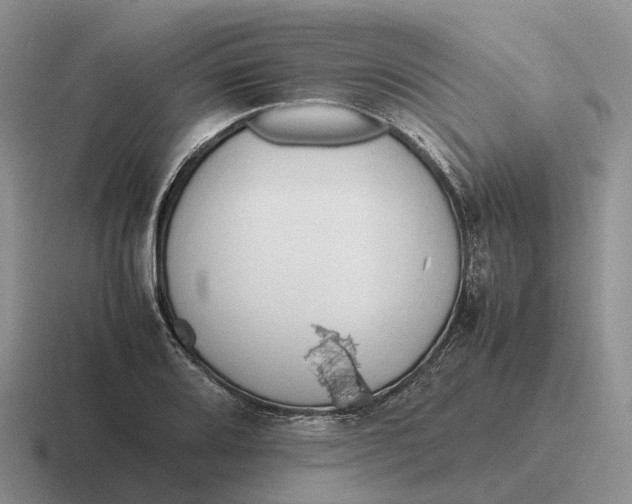 X0000116681080201001041144