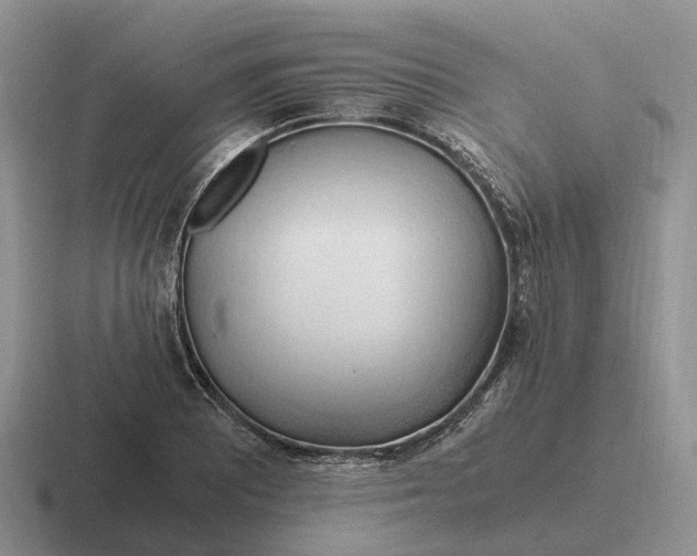 X0000116681081201001041144