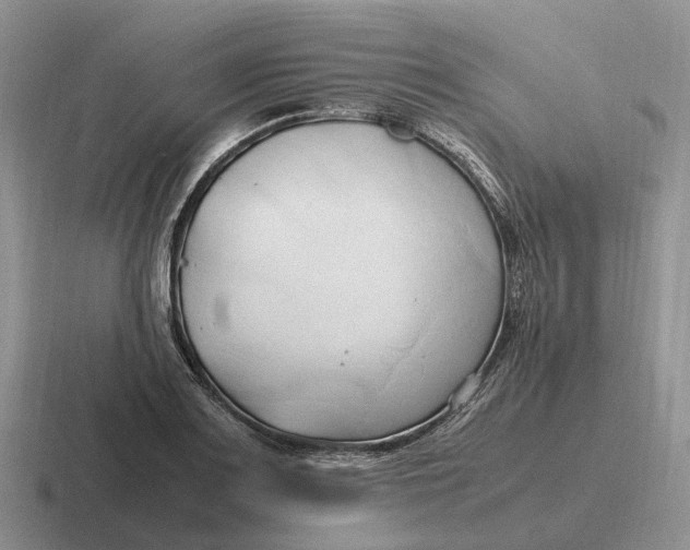 X0000116681083201001041144