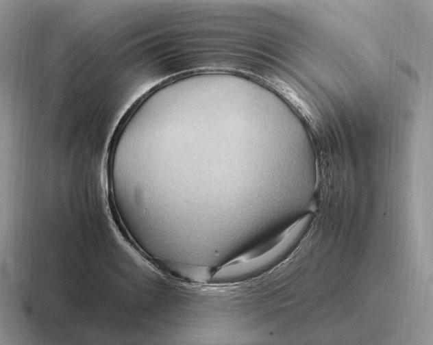 X0000116681084201001041144