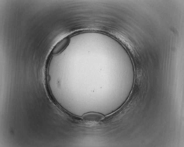 X0000116681085201001041144