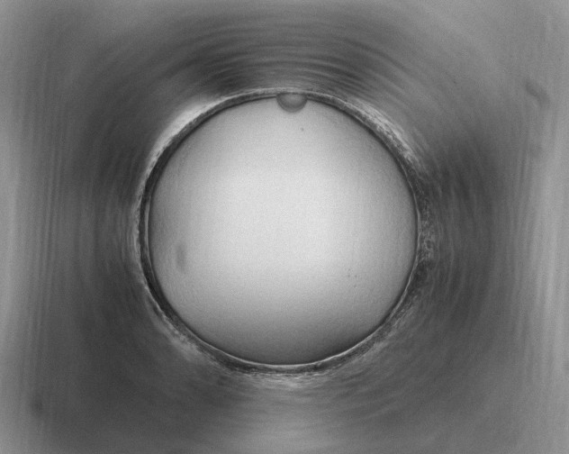 X0000116681086201001041144