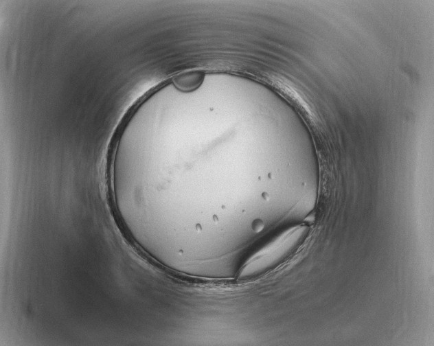 X0000116681087201001041144