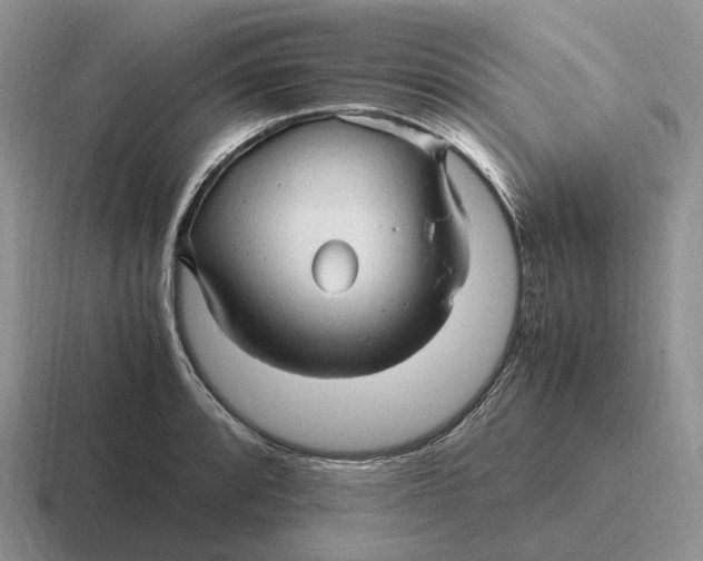 X0000116681088201001041144