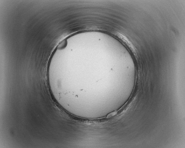 X0000116681089201001041144