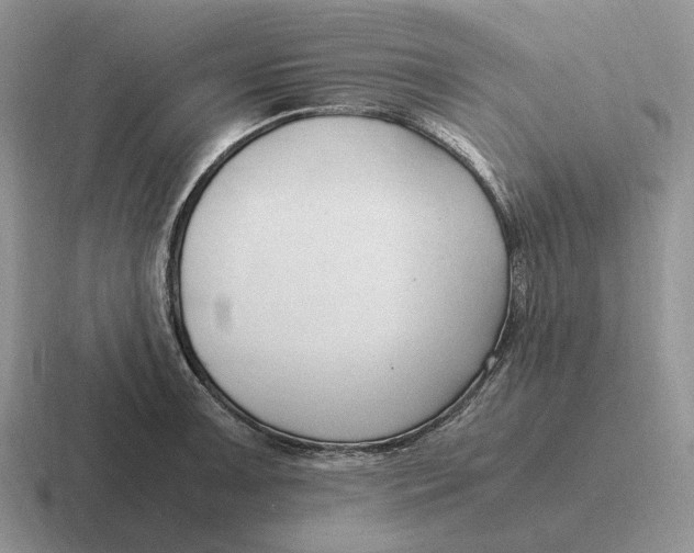 X0000116681091201001041144