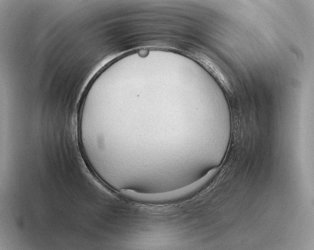 X0000116681092201001041144