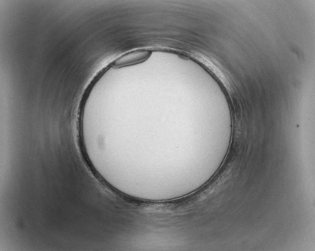 X0000116681093201001041144