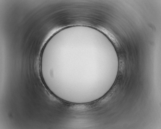 X0000116681094201001041144