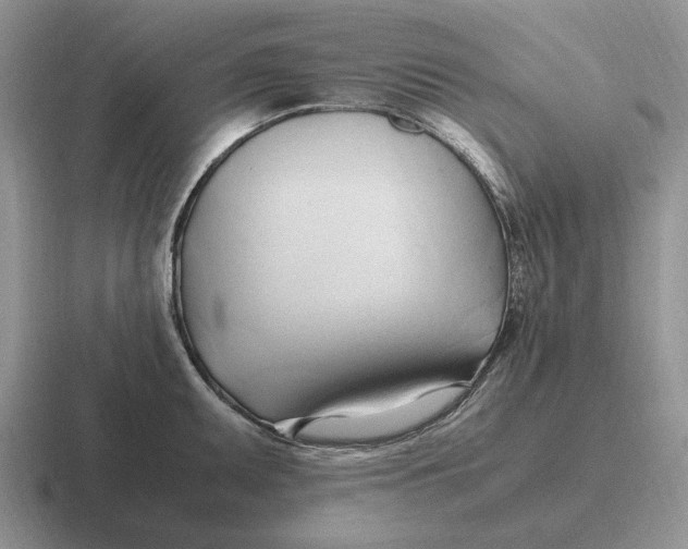 X0000116681095201001041144