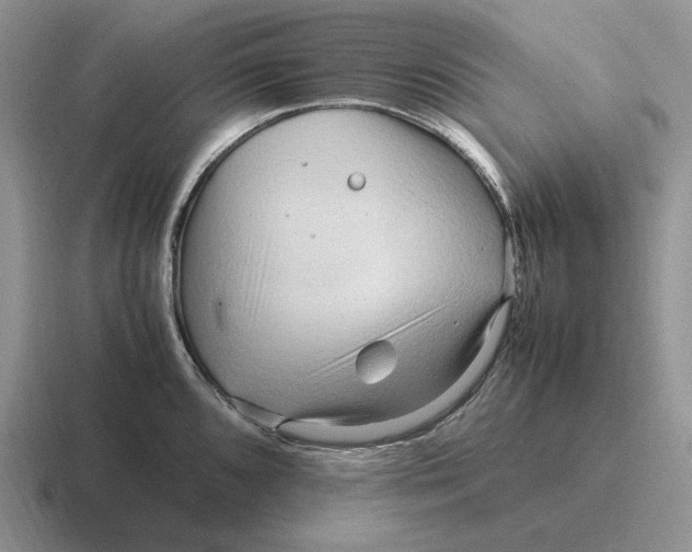 X0000116681096201001041144