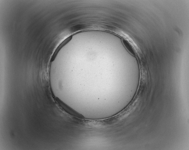 X0000116681097201001041144