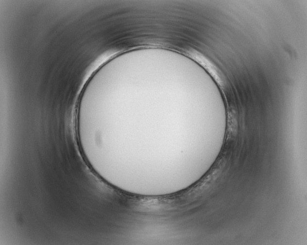 X0000116681098201001041144