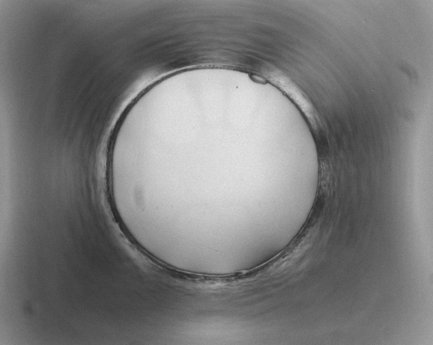 X0000116681099201001041144