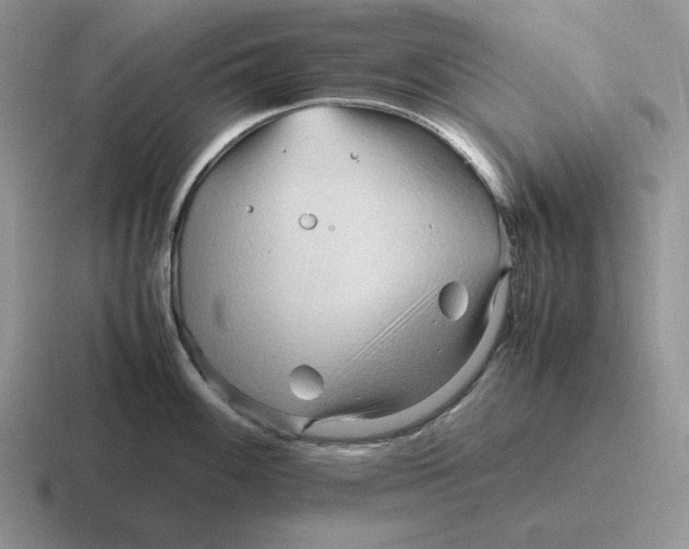 X0000116681100201001041144