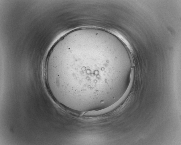 X0000116681101201001041144