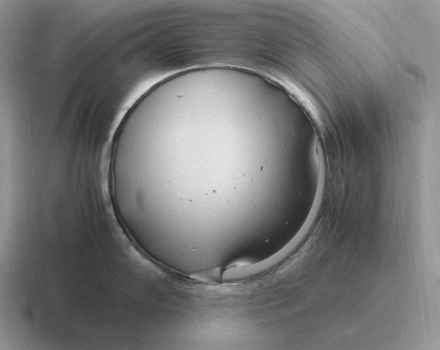 X0000116681102201001041144