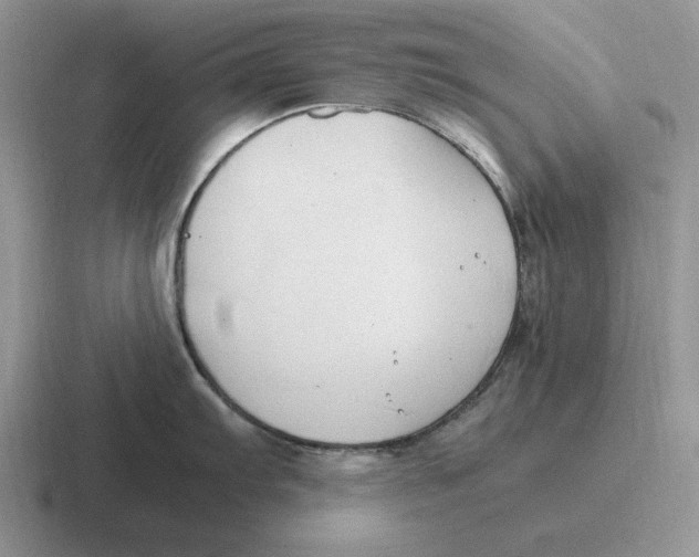 X0000116681103201001041144