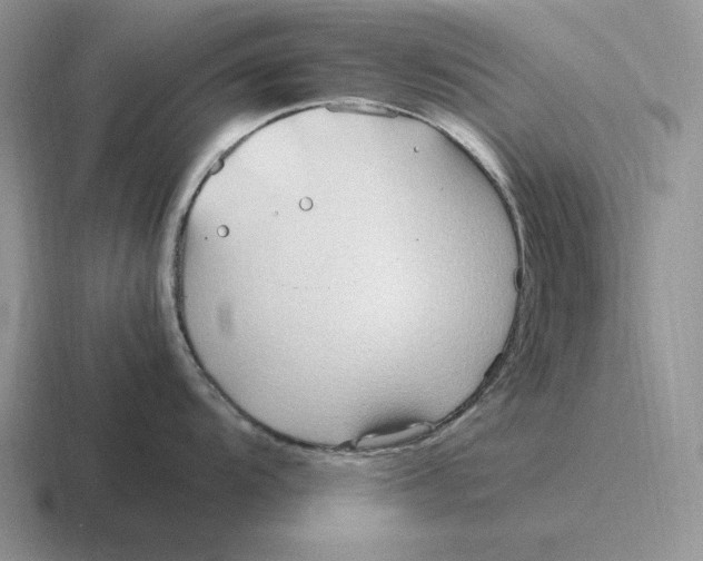 X0000116681104201001041144