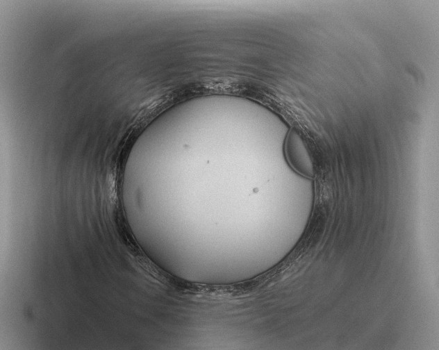 X0000116681106201001041143