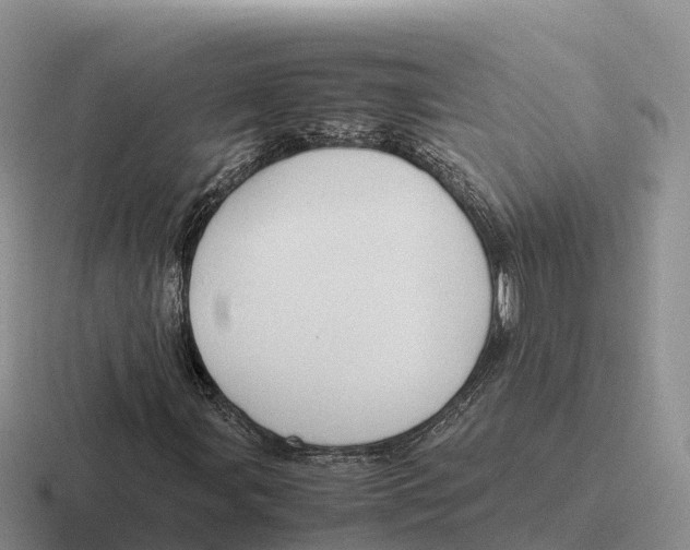 X0000116681107201001041143