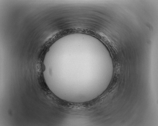 X0000116681110201001041143