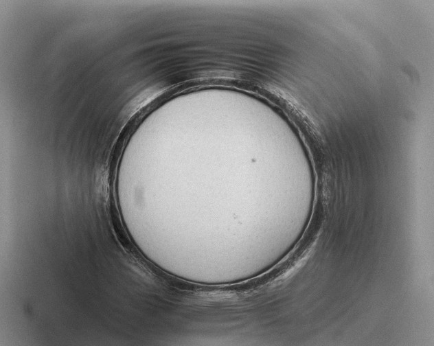 X0000116681113201001041143