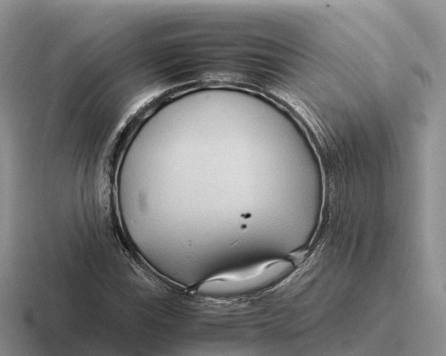 X0000116681115201001041143