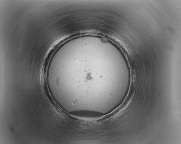 X0000116681117201001041143