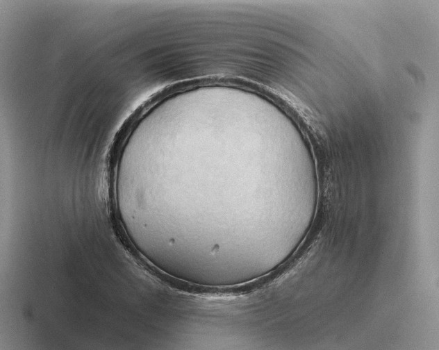 X0000116681118201001041143