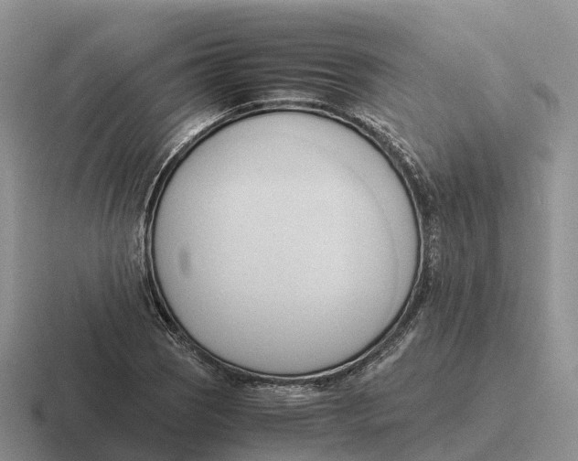 X0000116681121201001041143