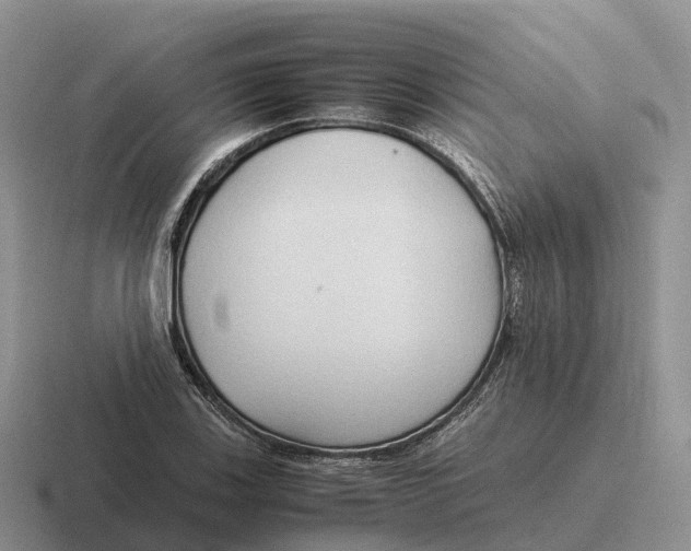 X0000116681123201001041143