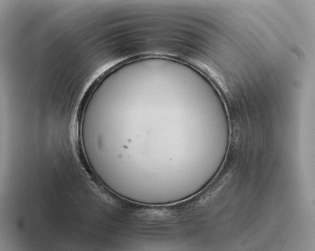 X0000116681125201001041143