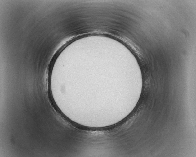 X0000116681126201001041143