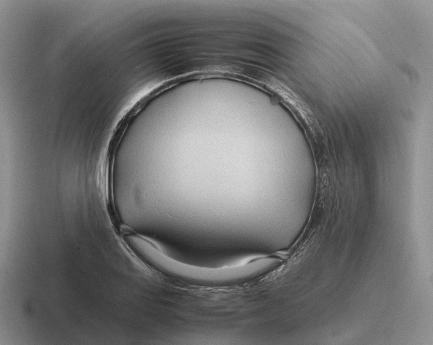 X0000116681127201001041143