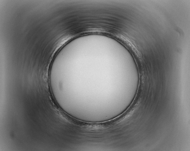 X0000116681129201001041143