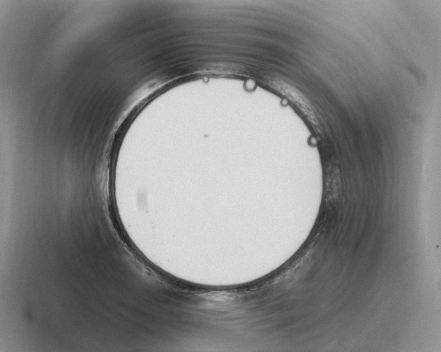 X0000116681130201001041143