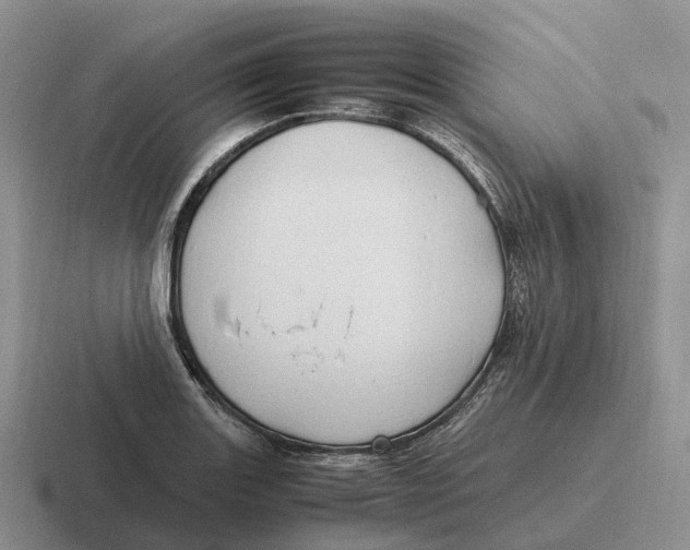 X0000116681131201001041143