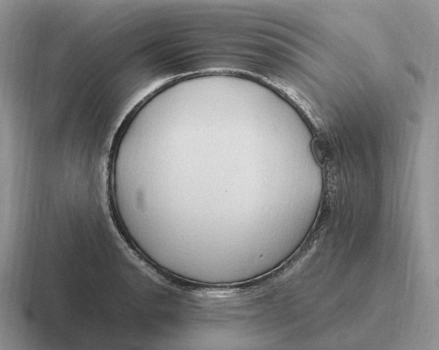 X0000116681134201001041143