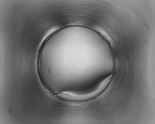 X0000116681138201001041144