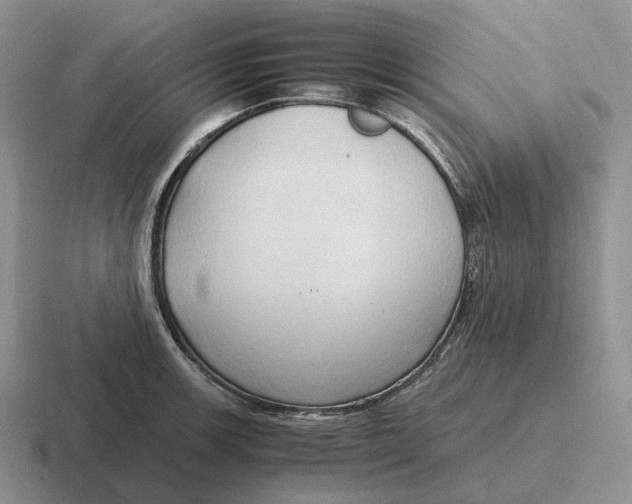 X0000116681139201001041144