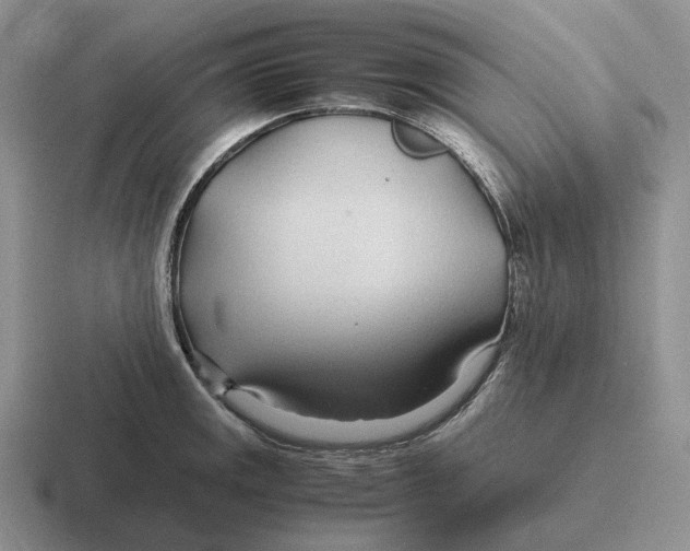 X0000116681141201001041144