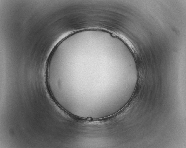 X0000116681142201001041144