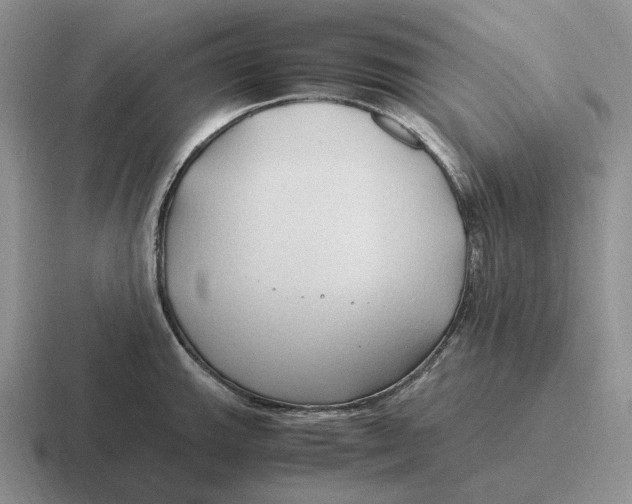 X0000116681143201001041144