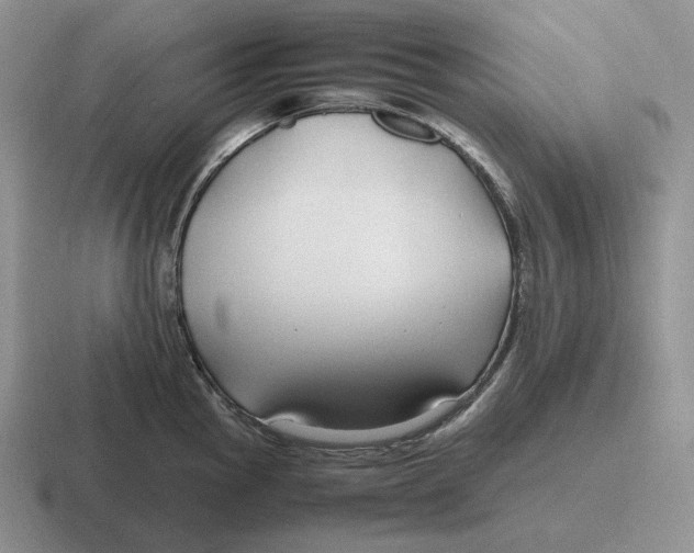 X0000116681145201001041144