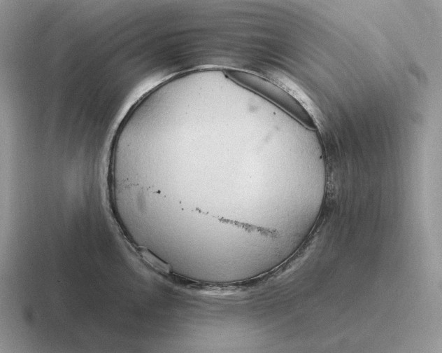 X0000116681146201001041144