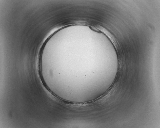 X0000116681147201001041144