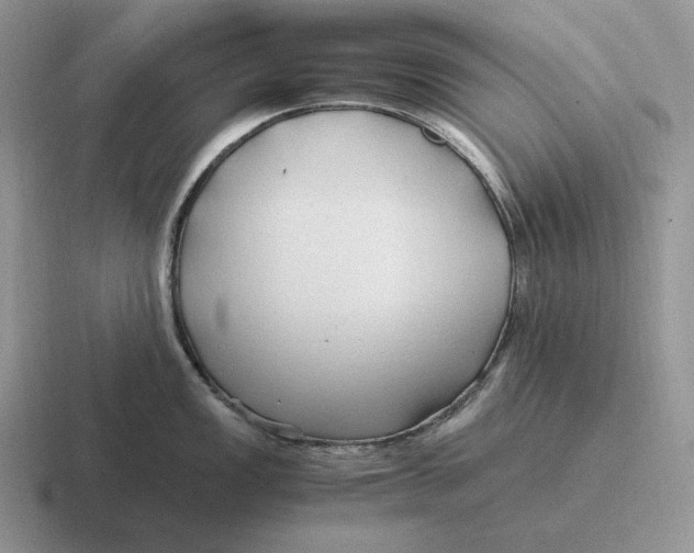 X0000116681149201001041144