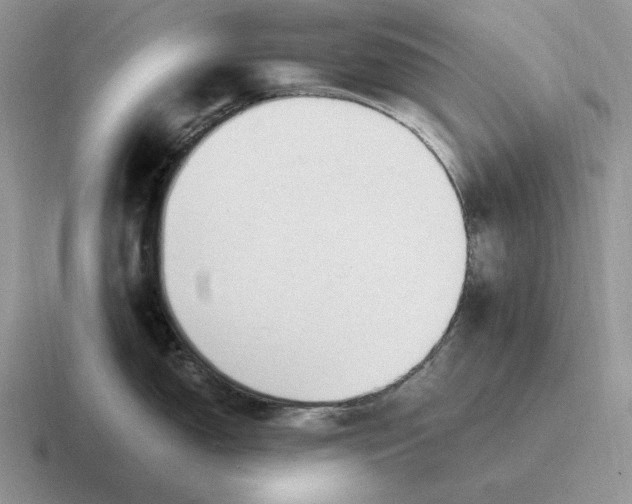 X0000116681150201001041144