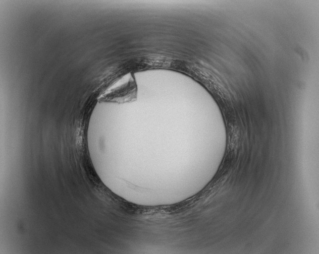 X0000116681154201001041143